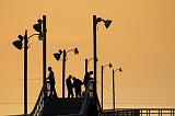 Goose Island Pier Fishers_39143